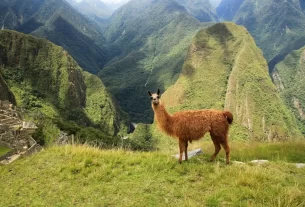 Machu Pichu Peru