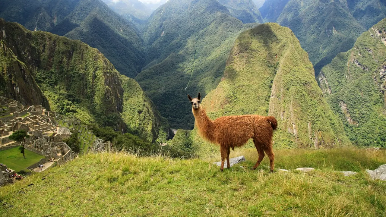 Machu Pichu Peru