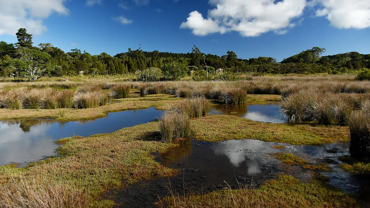 Melhores Lugares para Viajar no Brasil - Pantanal