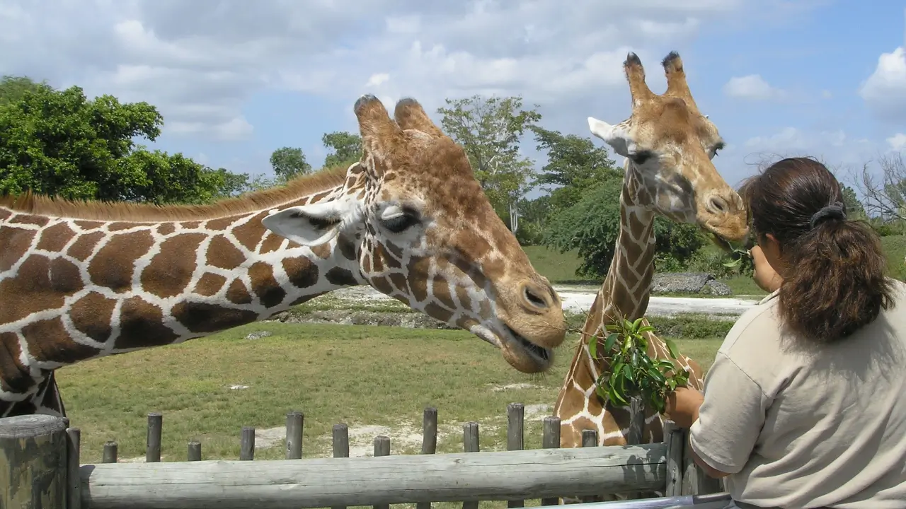 Melhores Lugares para Viajar no Brasil - Zoo de Gramado