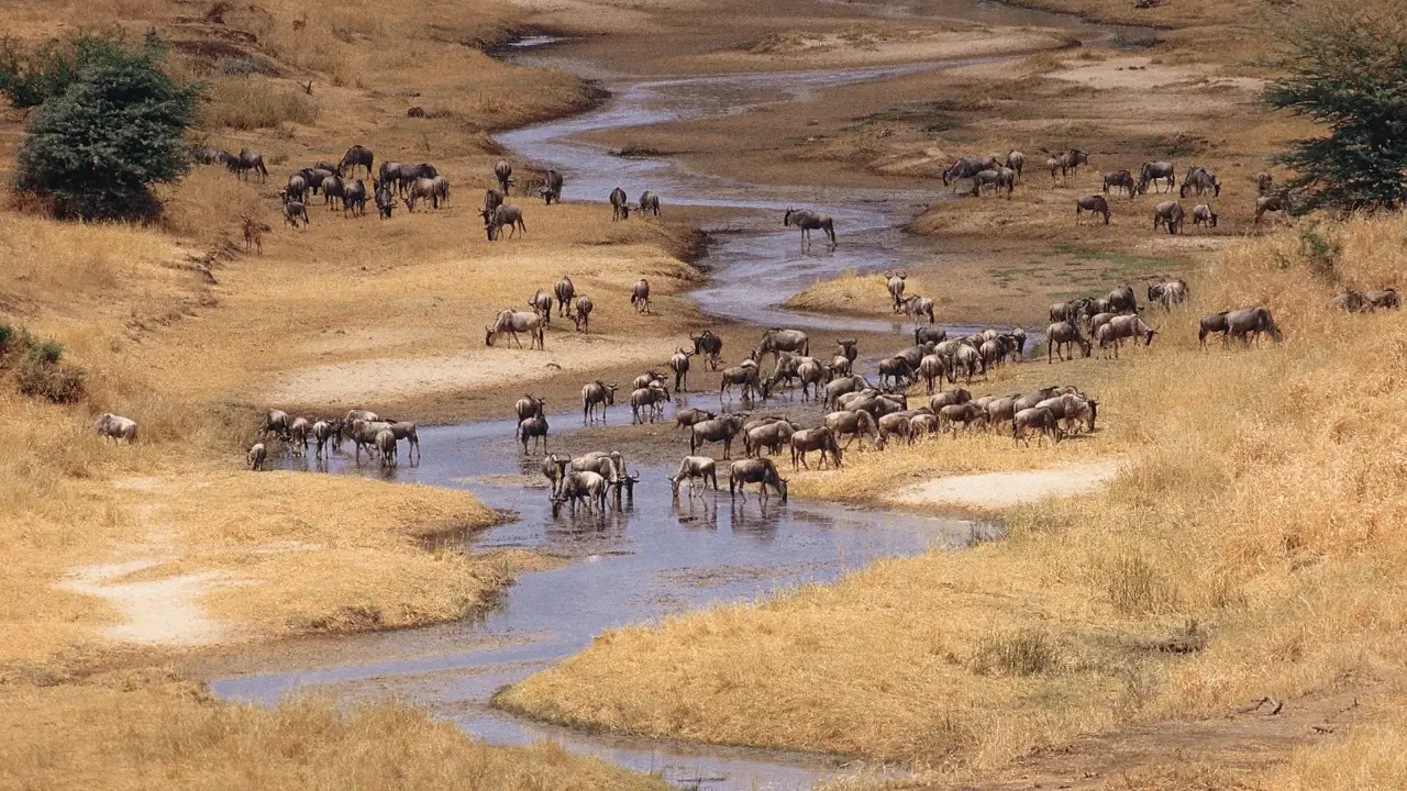 A cratera de Ngorongoro é uma das maiores atrações da Tanzânia