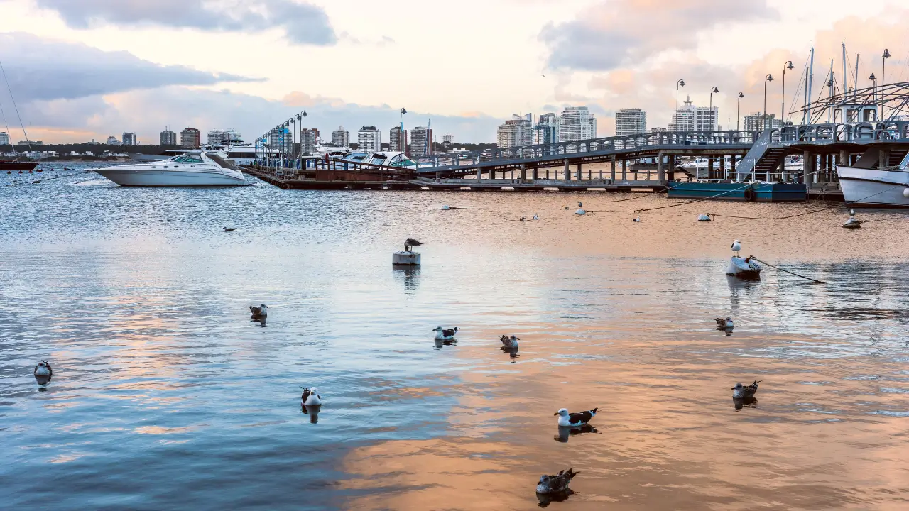 Baía de Punta del Este