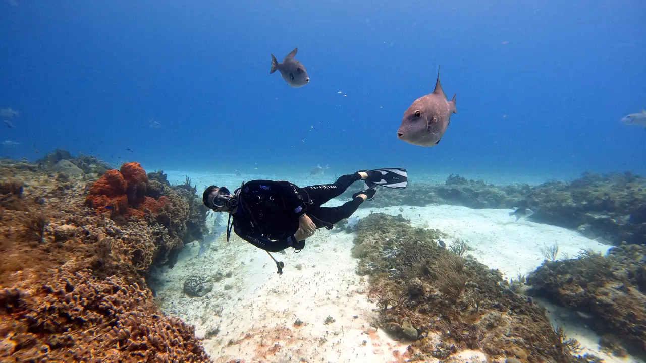 Mergulhador em Cozumel