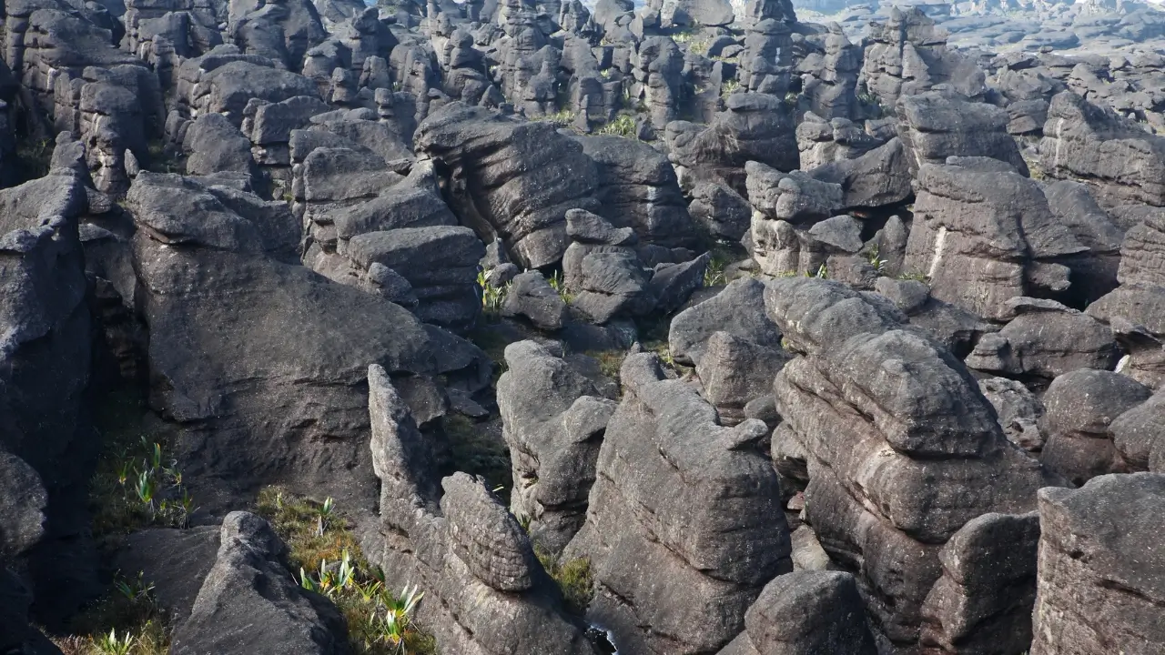 Paisagem do Monte Roraima