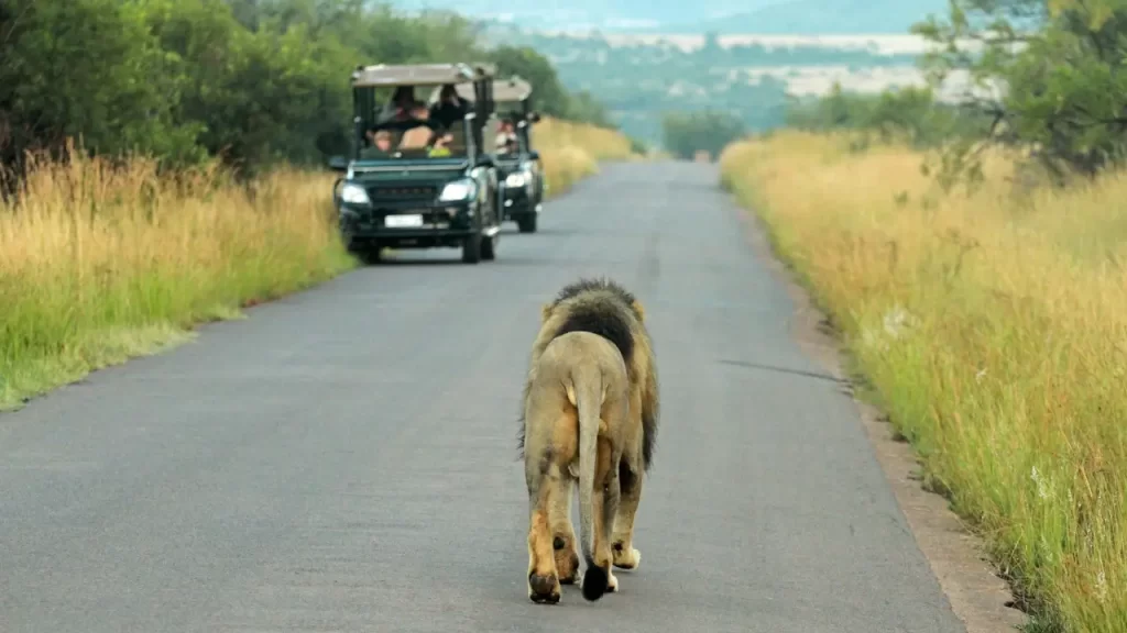 Parque Nacional de Pilanesberg