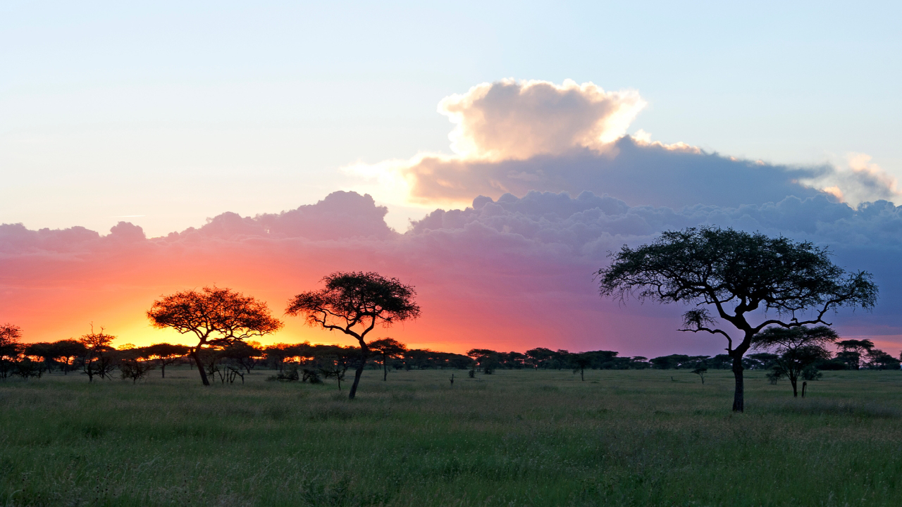 Parque Nacional de Serengeti