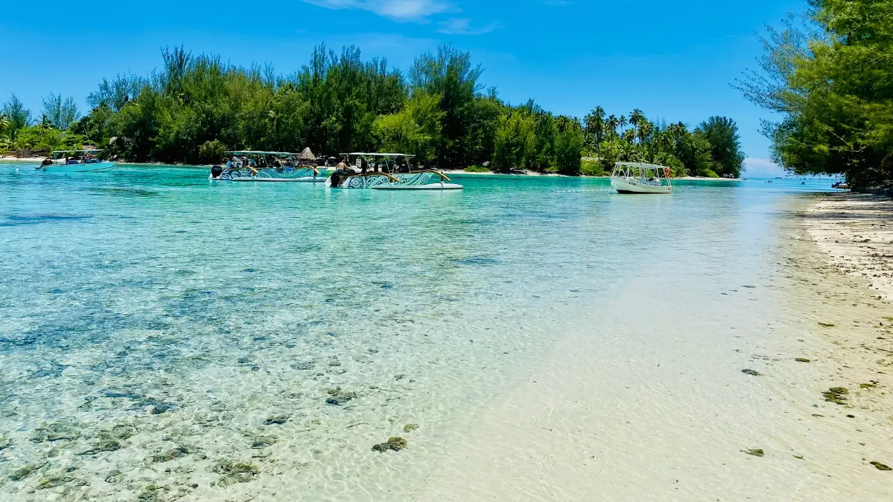 Passeio de barco em Moorea