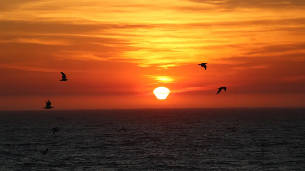 Pôr do sol Porto de Galinhas