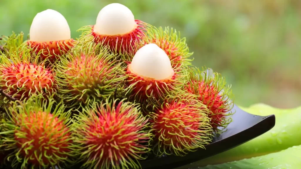 Rambutão