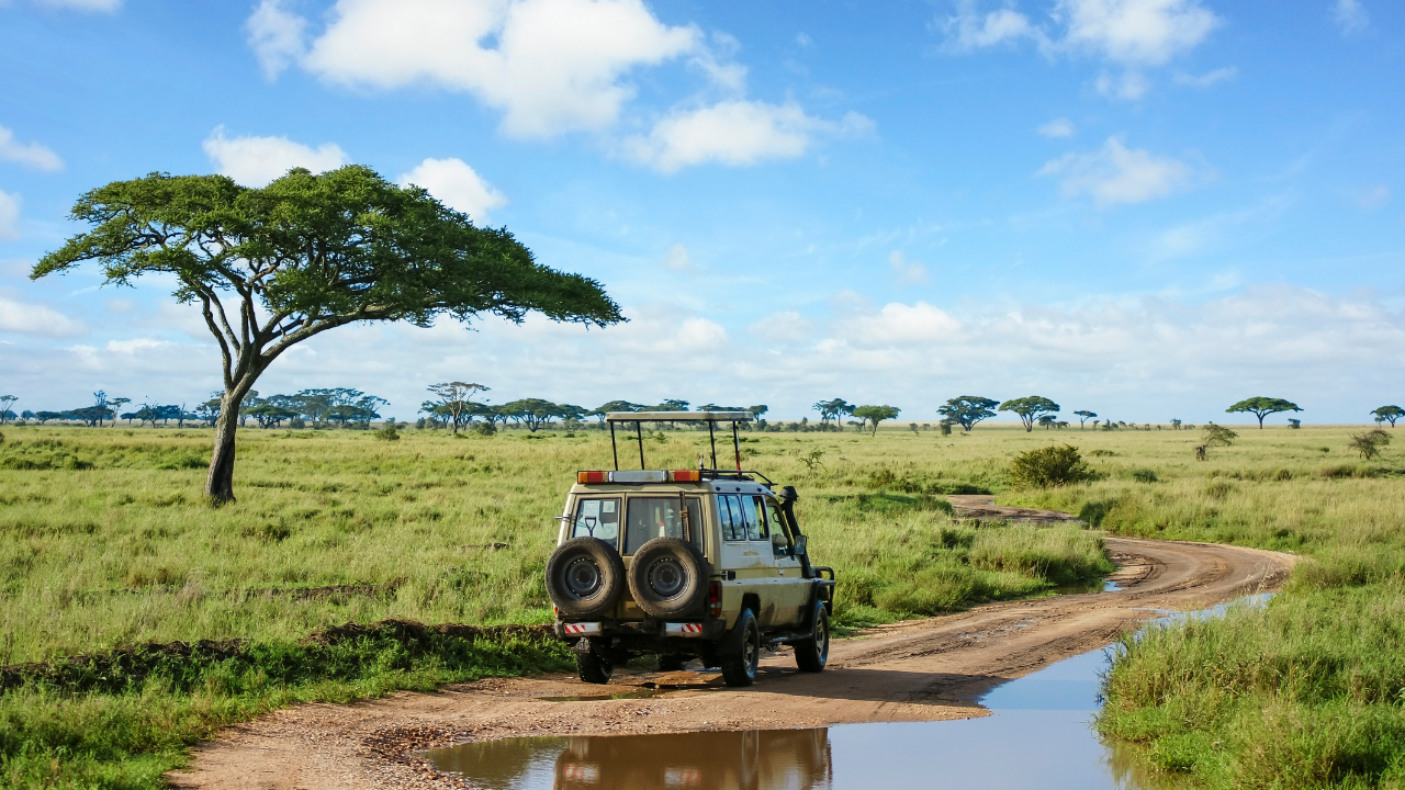 Safári de 4x4 no Serengeti, Tanzânia