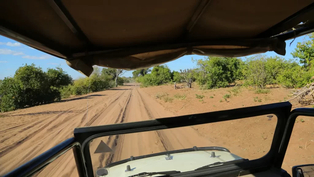 Safári no Chobe National Park