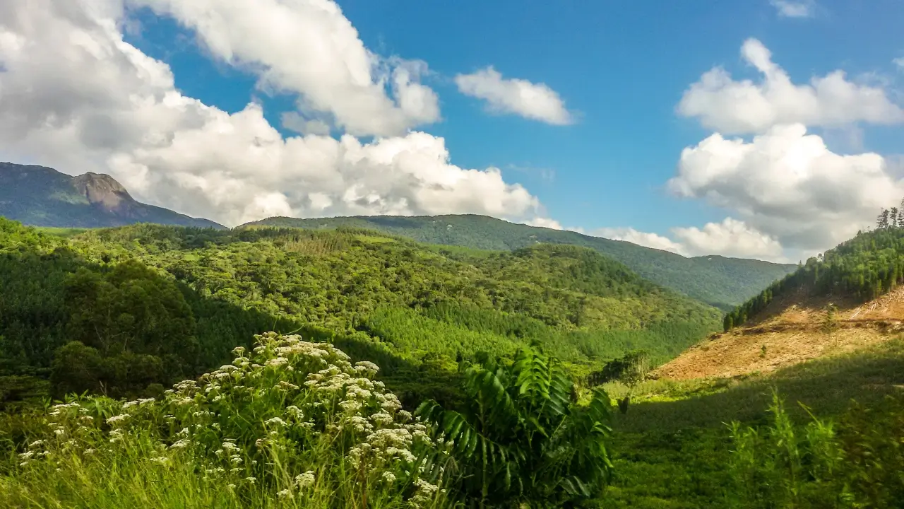 Vista das montanhas de Monte Verde