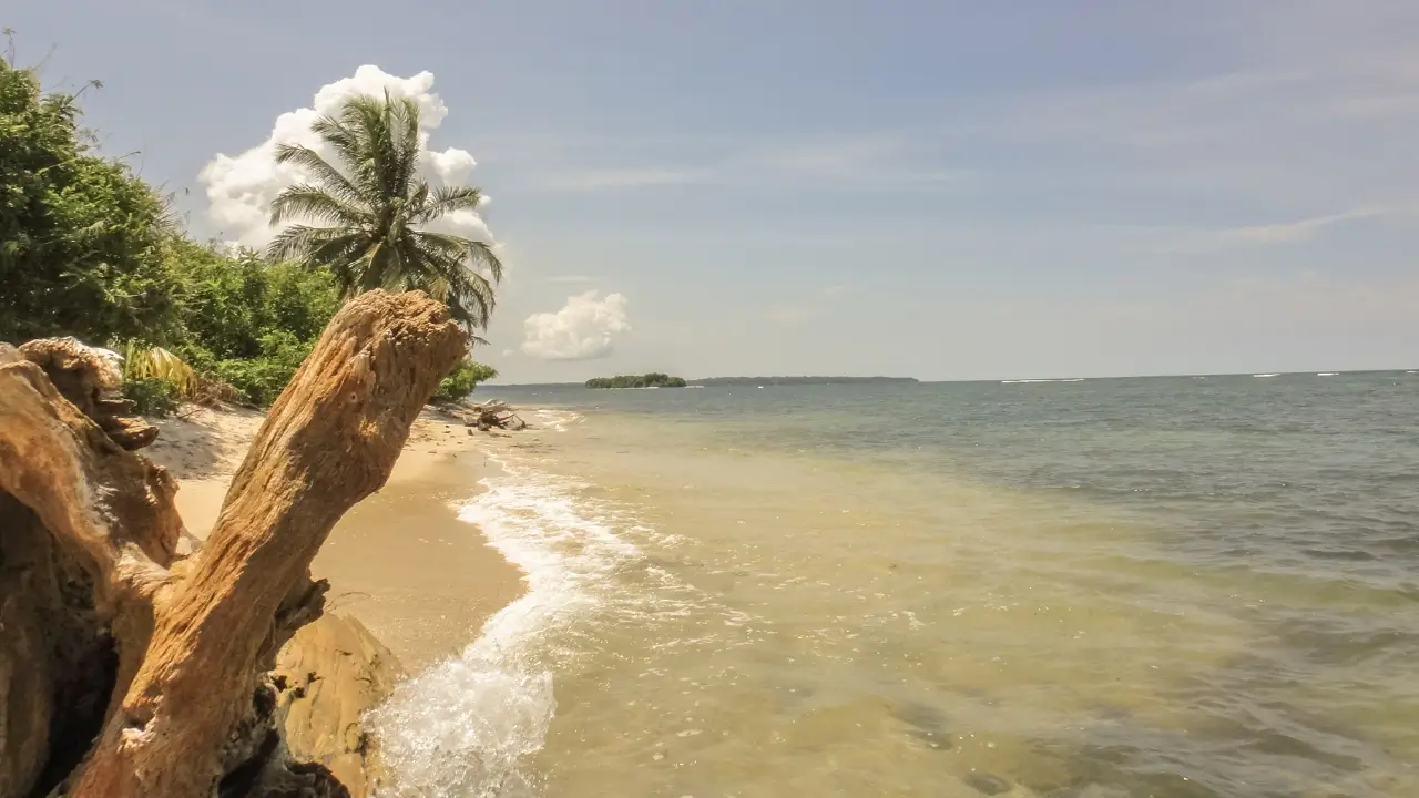 Zapatilla ilha do Panamá, Bocas del Toro