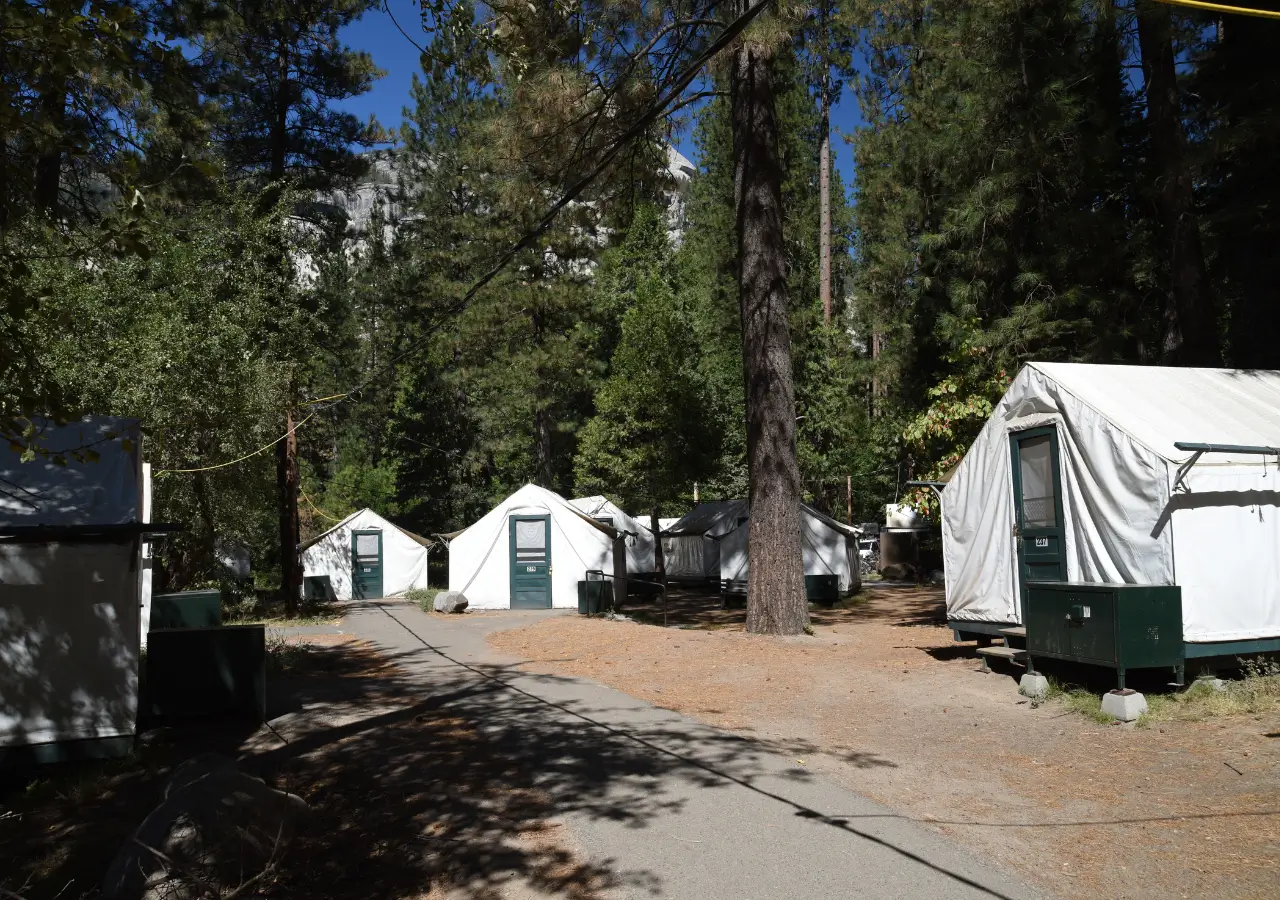 Acampamento e Piqueniques no Parque Nacional de Yosemite