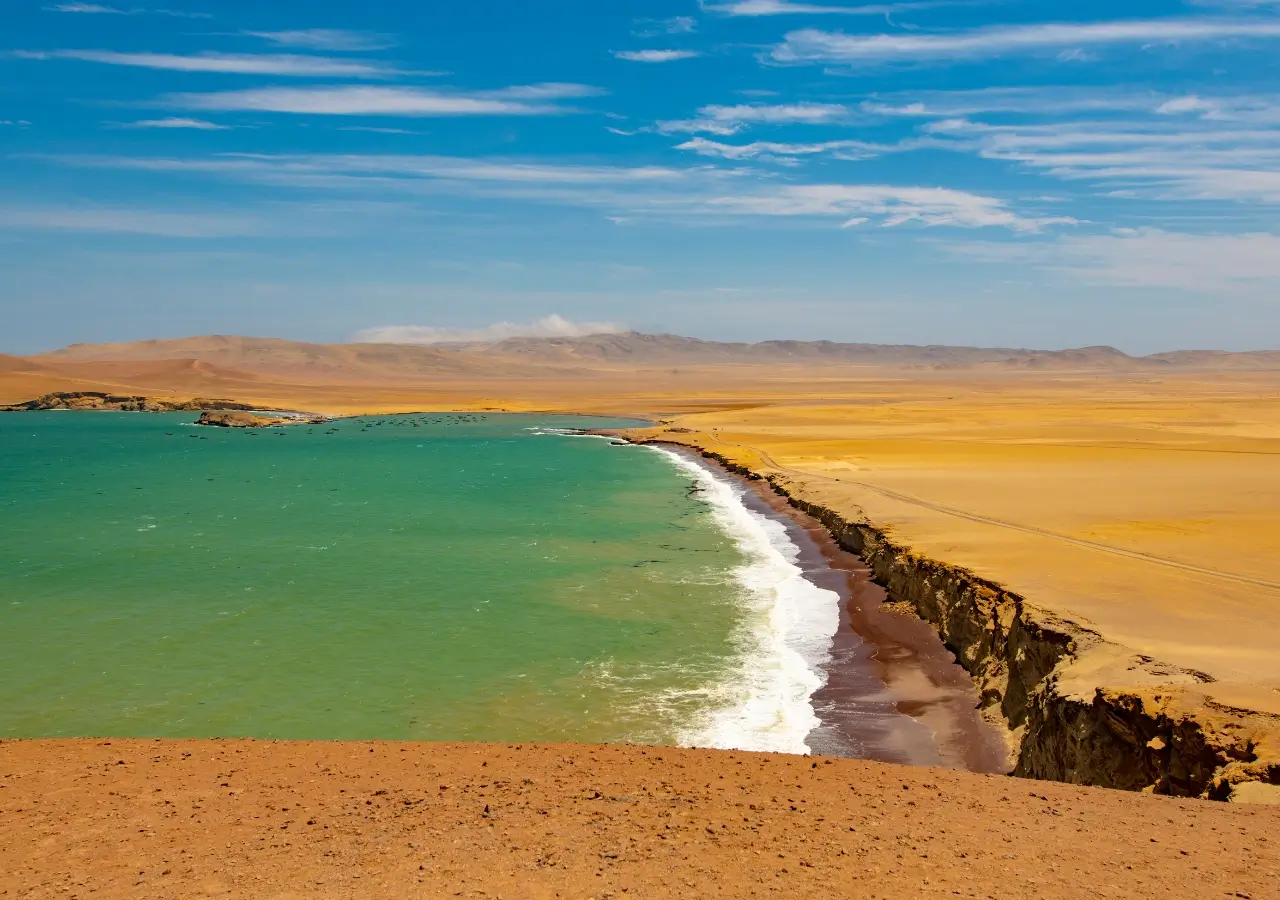 Reserva Nacional de Paracas